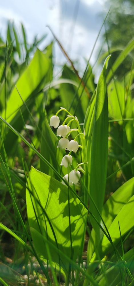 Photograph by Наталия Моргунова