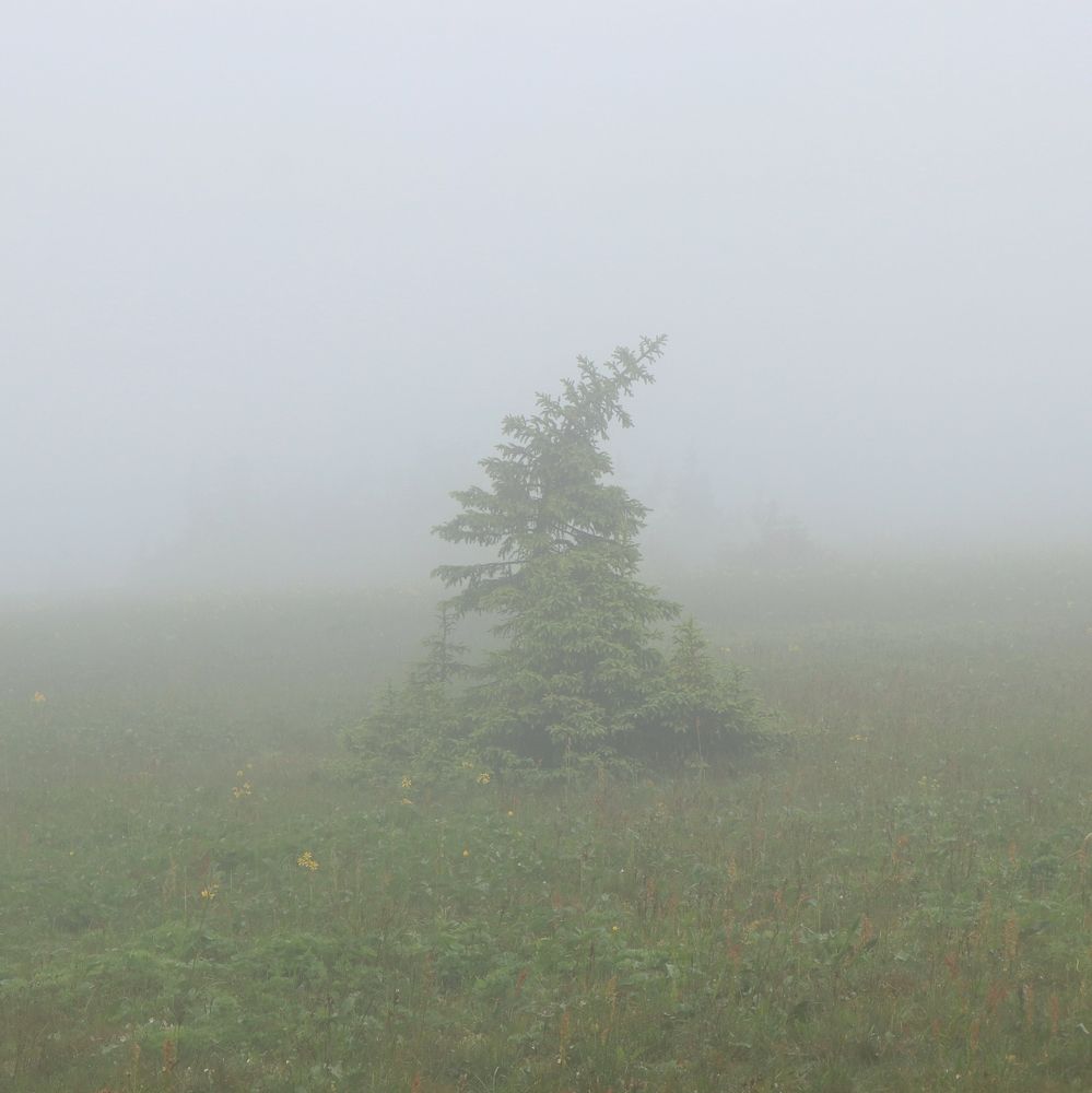 На Большом Нургуше