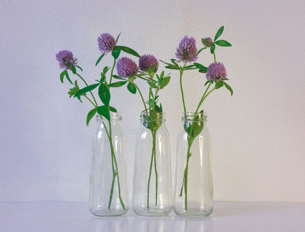 Photograph by Inna Ivanova