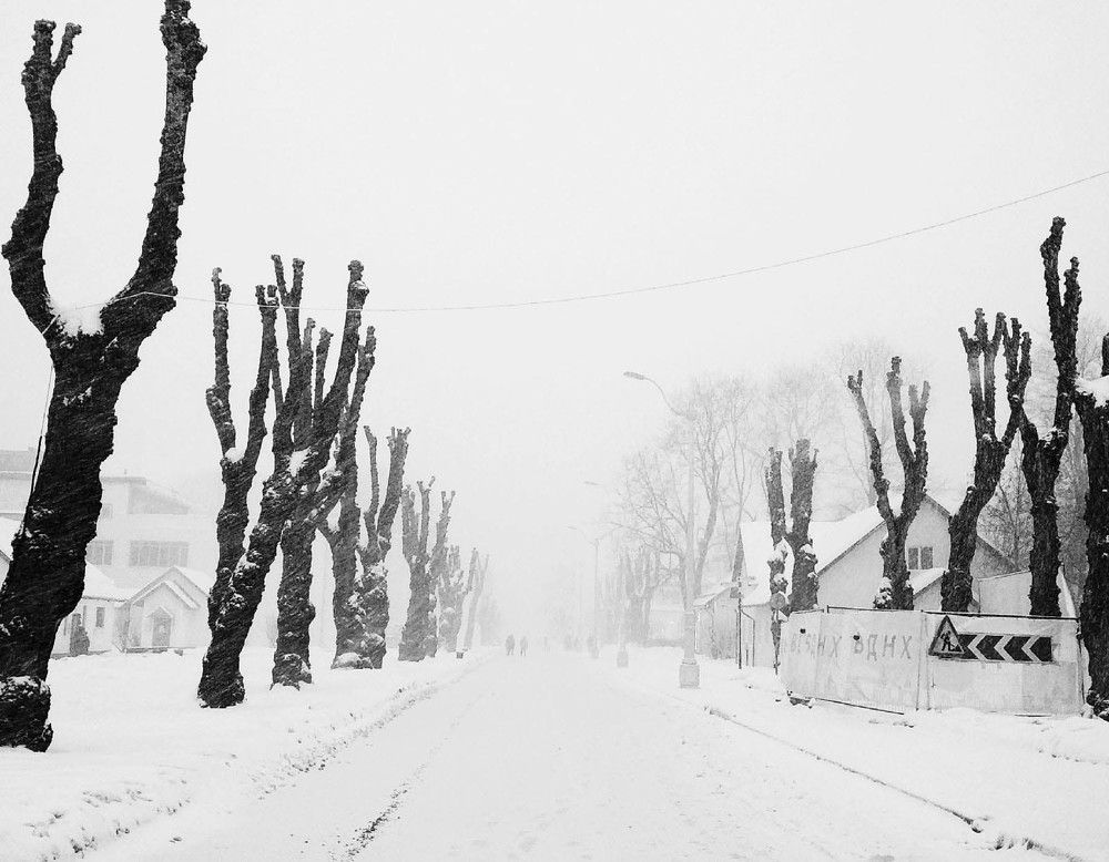 Photograph by Милена Полтавец