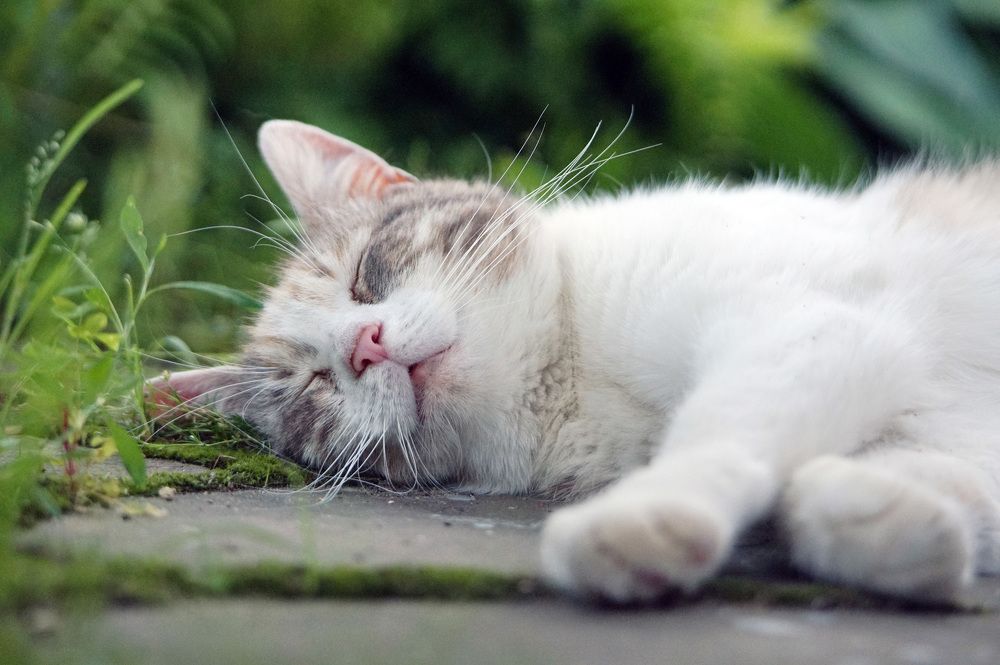 Photograph by Лена Максимкина