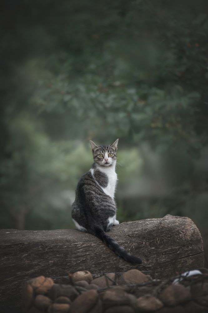 Photograph by Юлианна Митрофанова