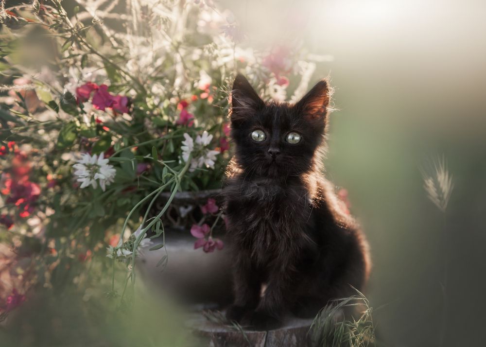 Photograph by Юлианна Митрофанова