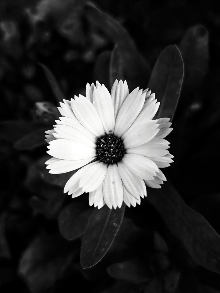 Photograph by Ahmad Qasim Mirzaie