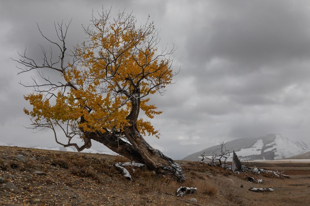 Photograph by Мария Казакова