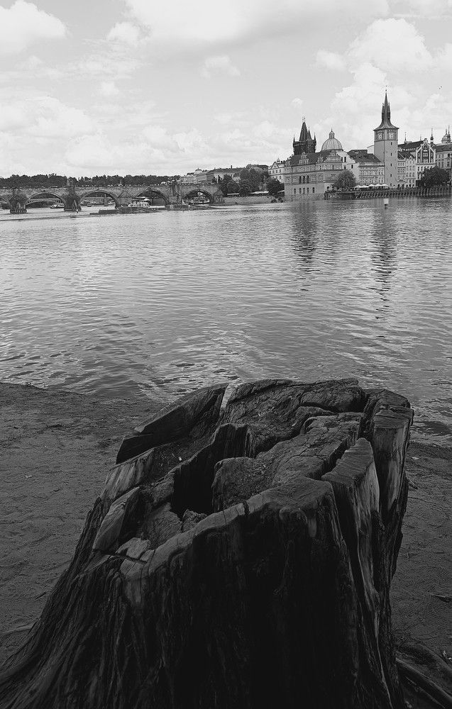 Фотография автора Мирослав