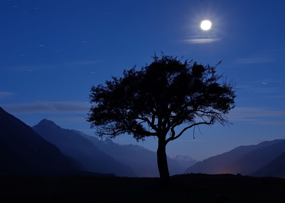 Photograph by Арсен Алабердов