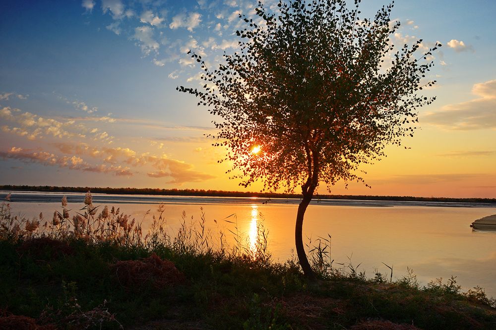 Фотография автора Игорь Ломов