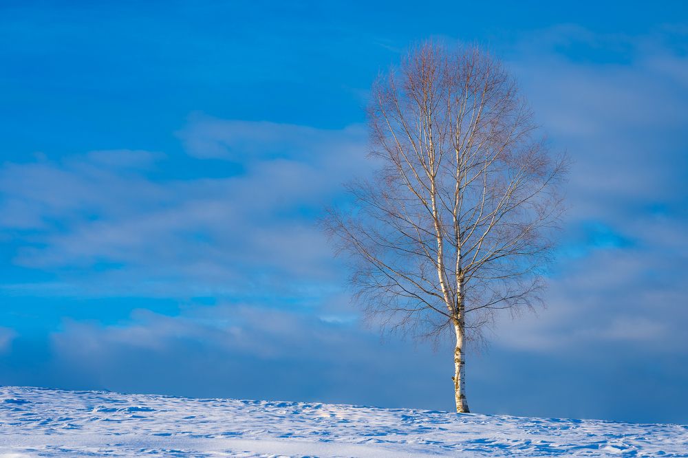 Photograph by Arcu Catalin