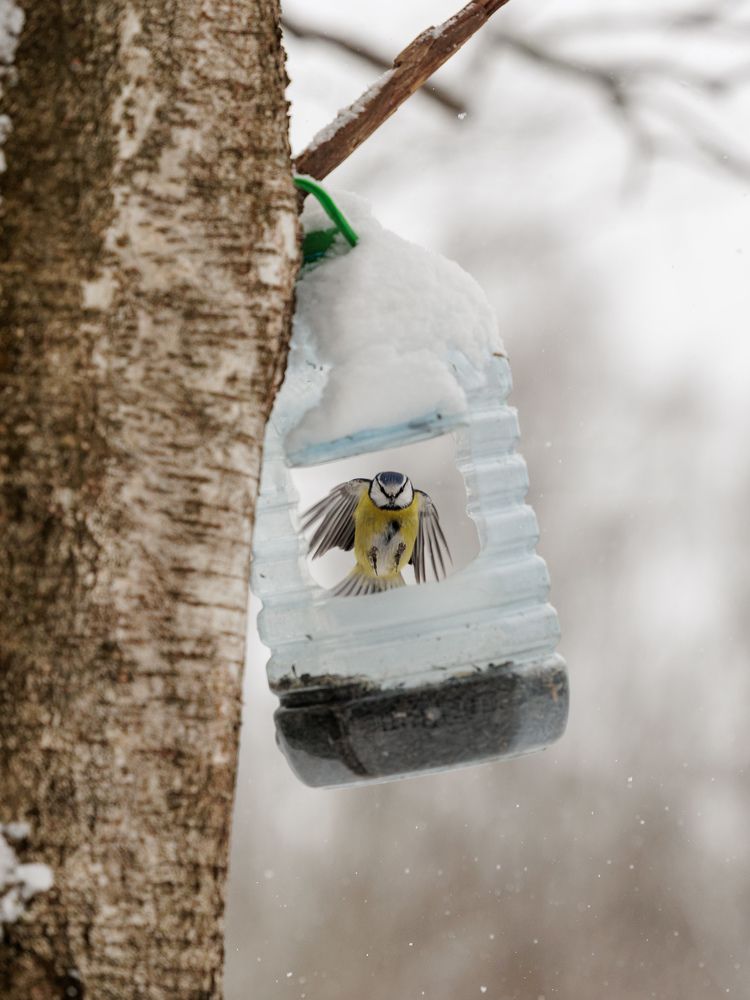 Photograph by Илья Юфа