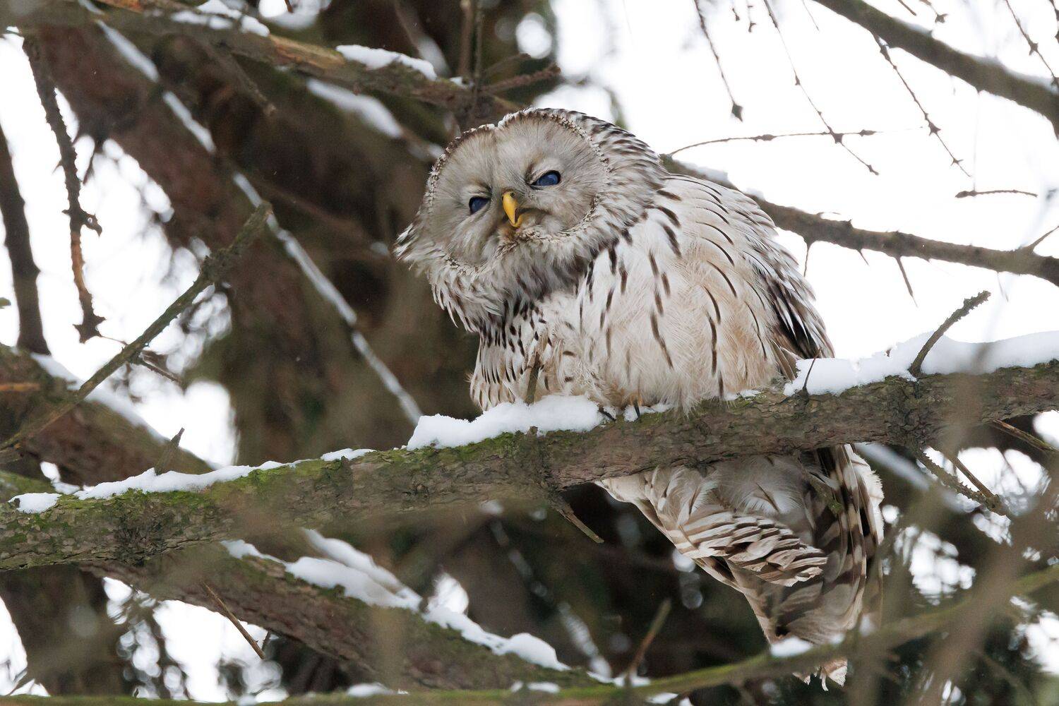 Фотография #10784957