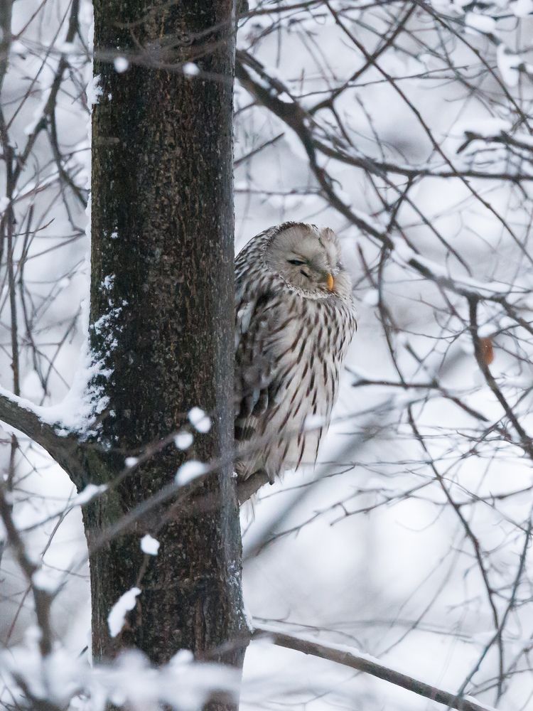 Photograph by Илья Юфа