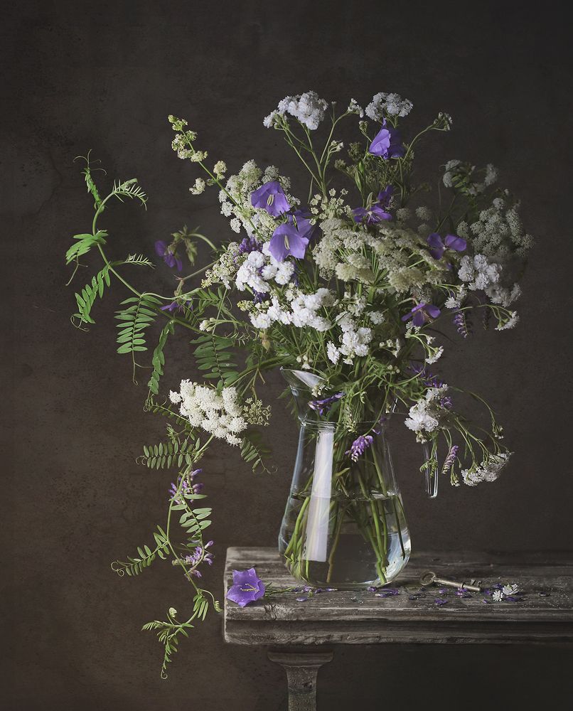 Фотография автора Светлана Дерябина