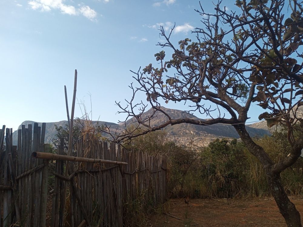 Фотография автора Edmundo Figueiredo Soares Junior