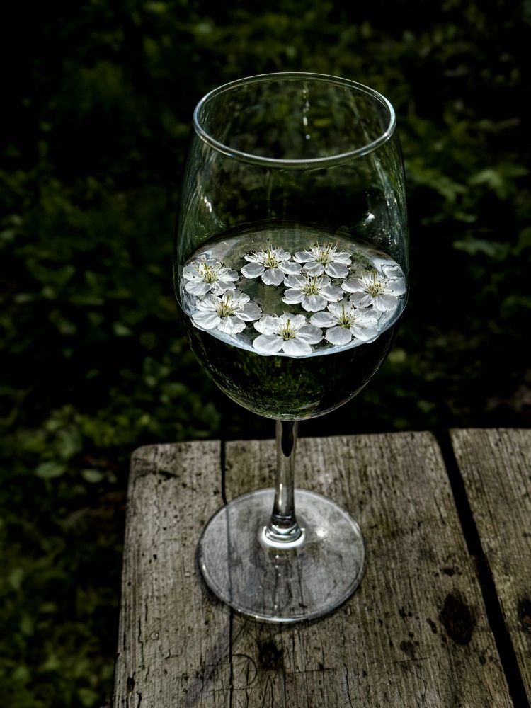 Photograph by Татьяна Зенина