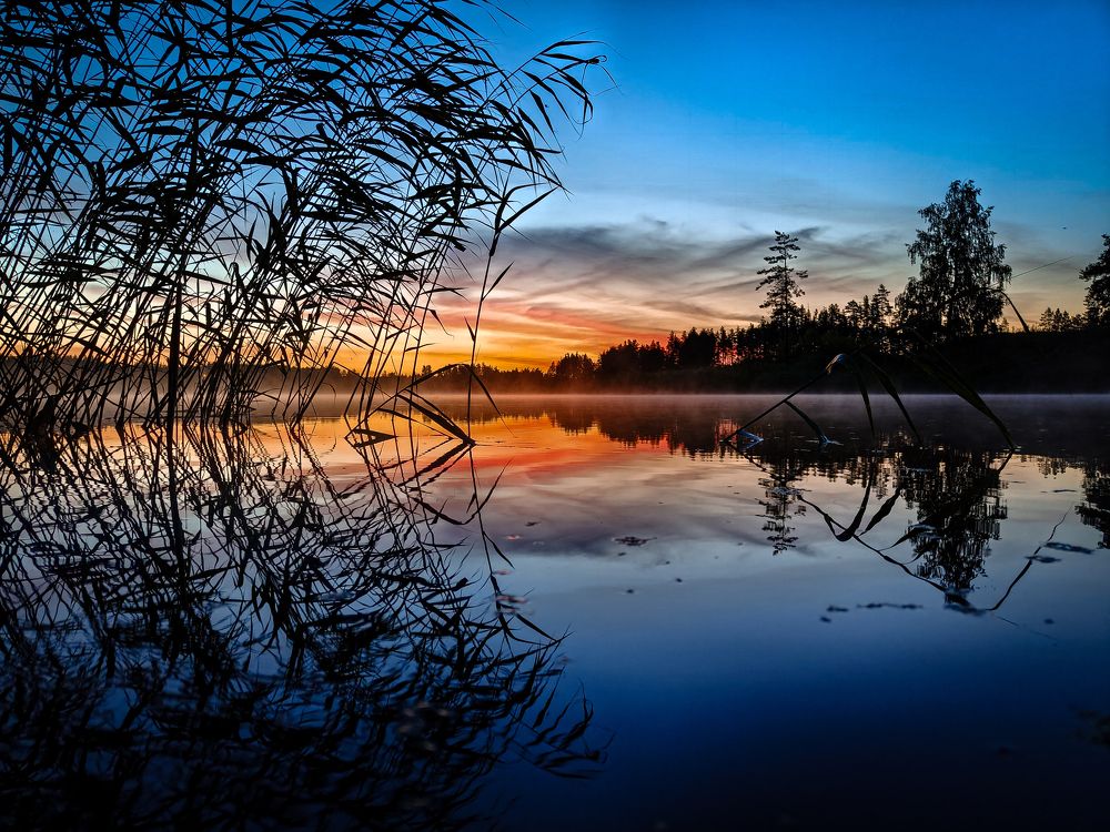 Фотография автора Чирков Пётр