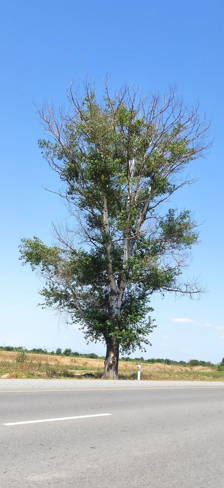 Photograph by Абакар Мирзоев