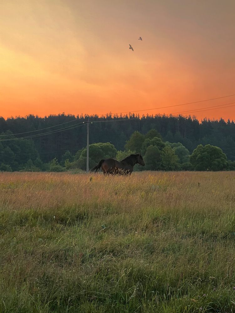 Photograph by Алена Полетаева