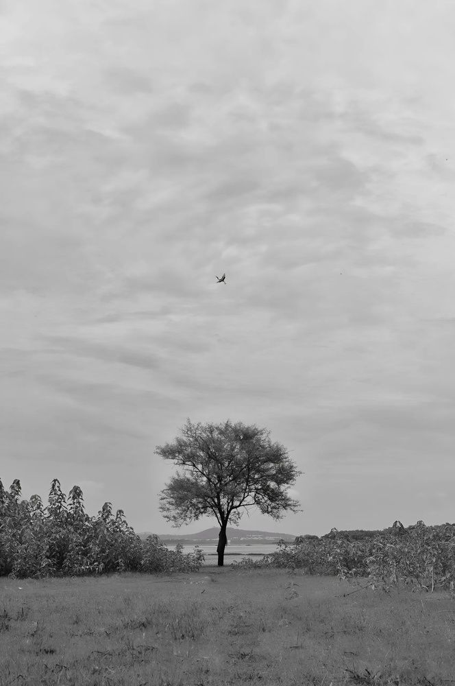 Photograph by Shalabh Srivastava