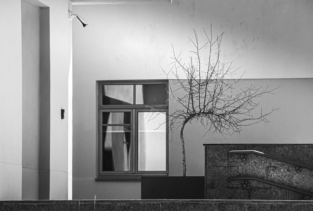 Photograph by Sergej