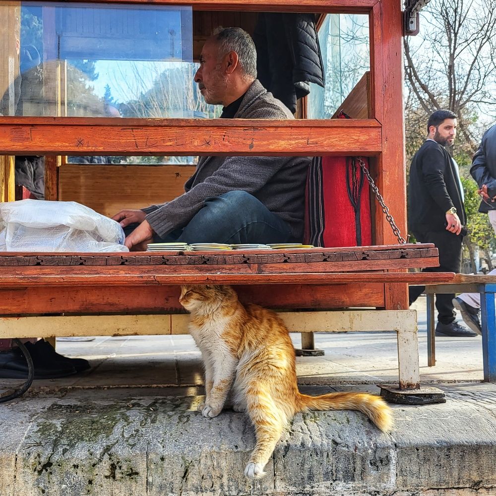 Photograph by Nelli Polle