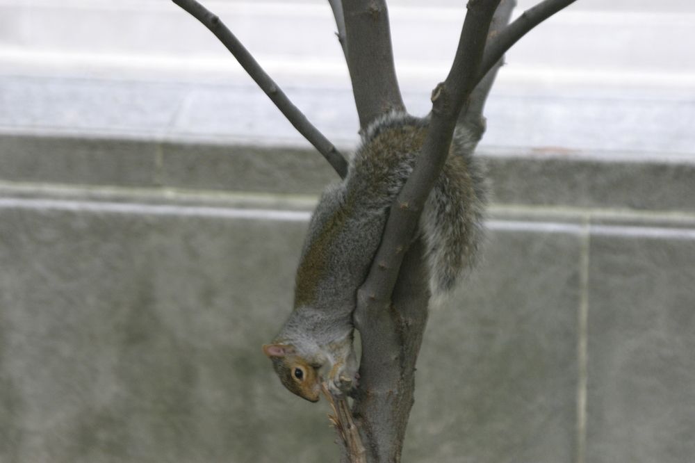 Photograph by Абакар Мирзоев