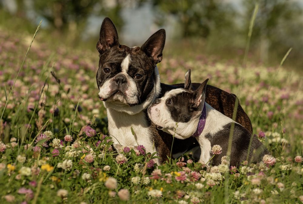 Photograph by Юлия Куликова