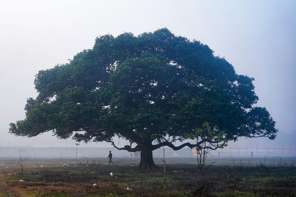 Photograph by Prasanta Roy