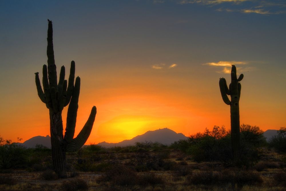 Photograph by Dan Stone