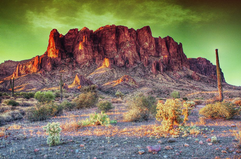 Photograph by Dan Stone