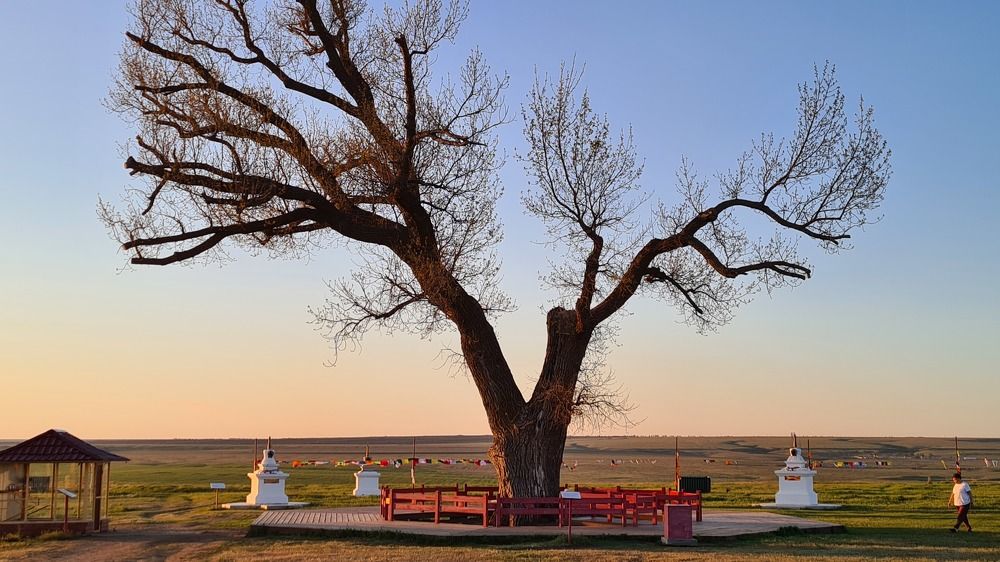 Photograph by Анастасия Маклакова