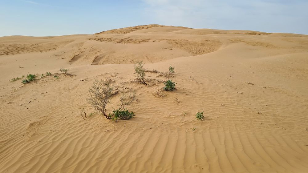 Photograph by Анастасия Маклакова