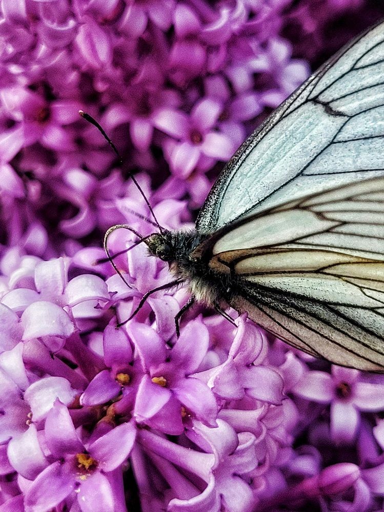 Photograph by Елена Иванова