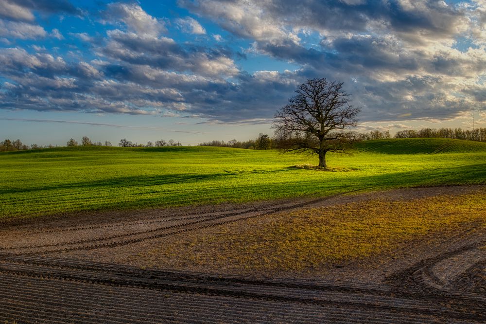 Photograph by Janis Serdienis