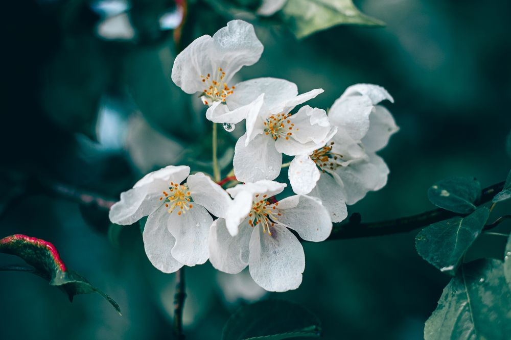 Photograph by Туляков Роман