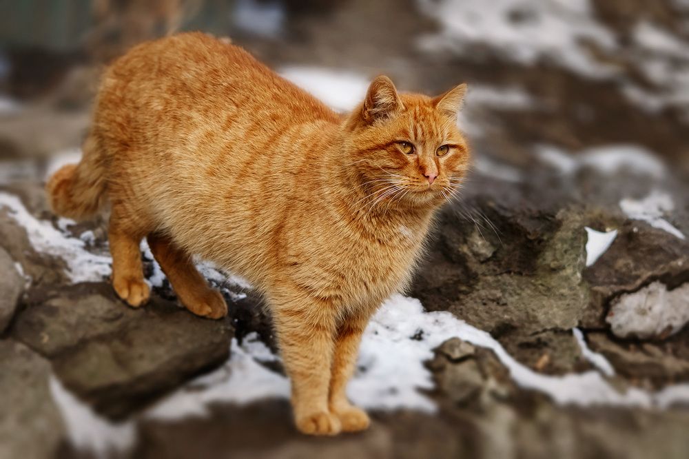 Photograph by Tatiana Alieva