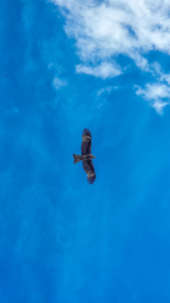 Photograph by Денис Бочаров