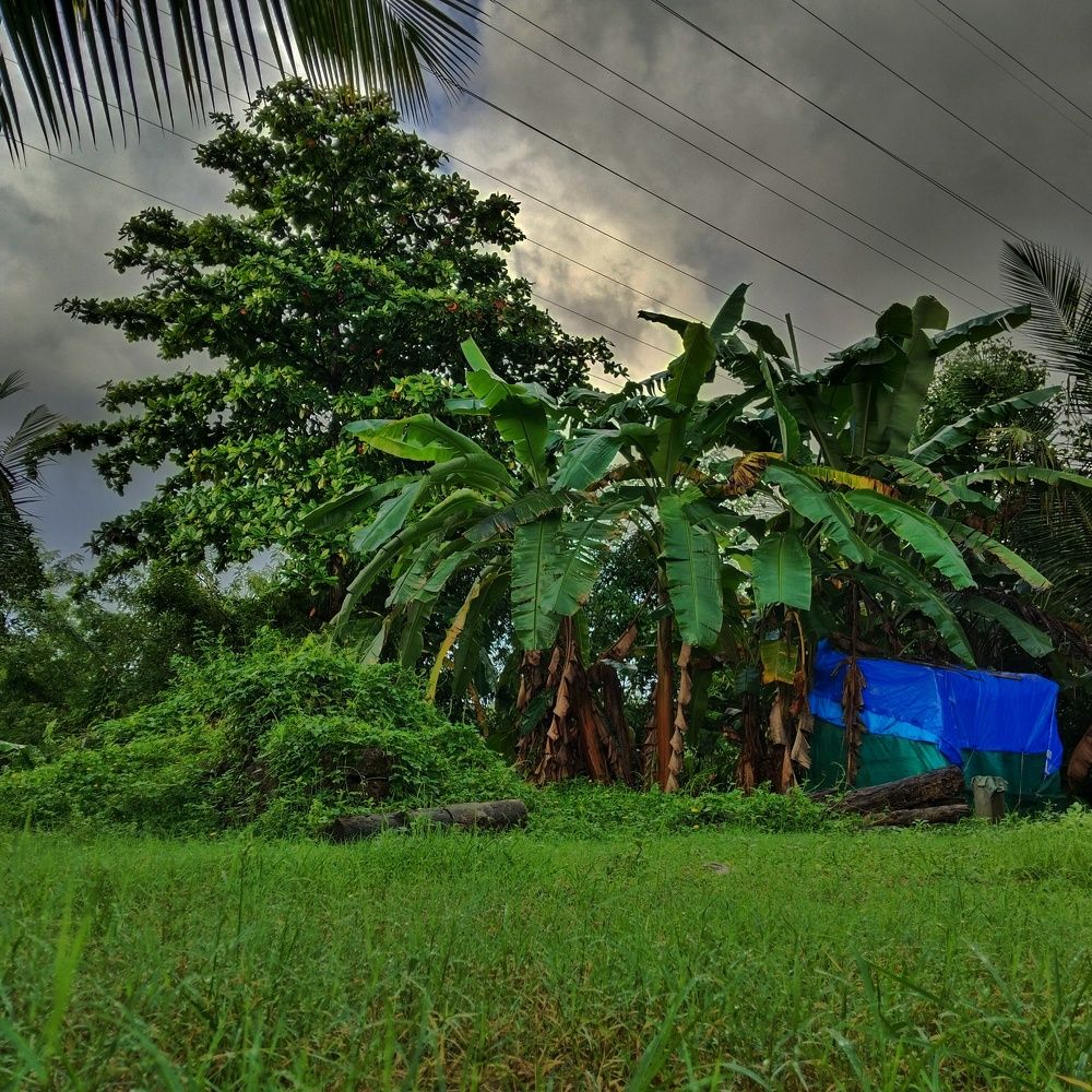 Photograph by Varsha Gatti