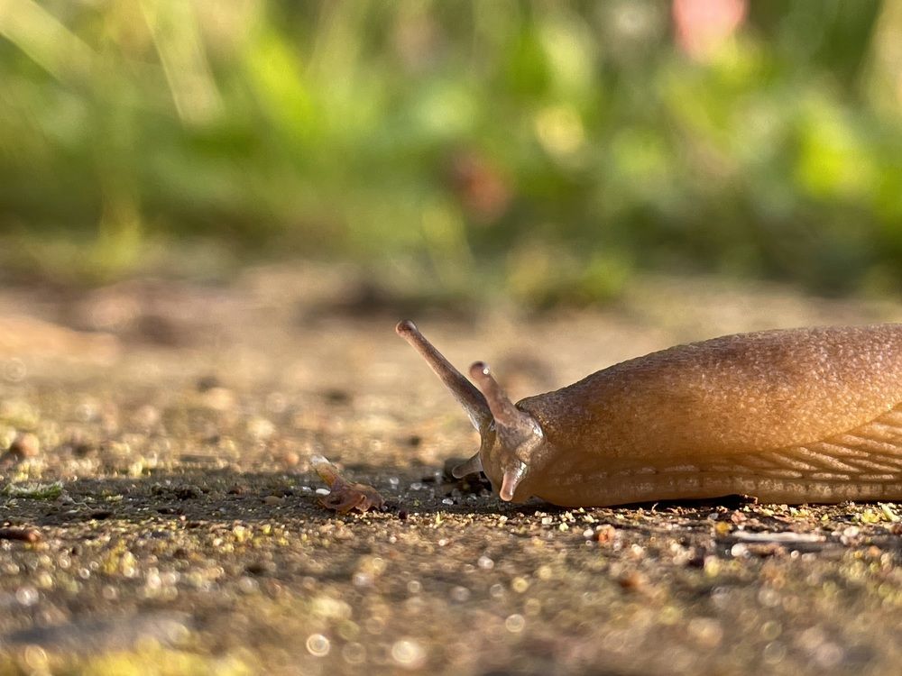 Photograph by Олег Китаев