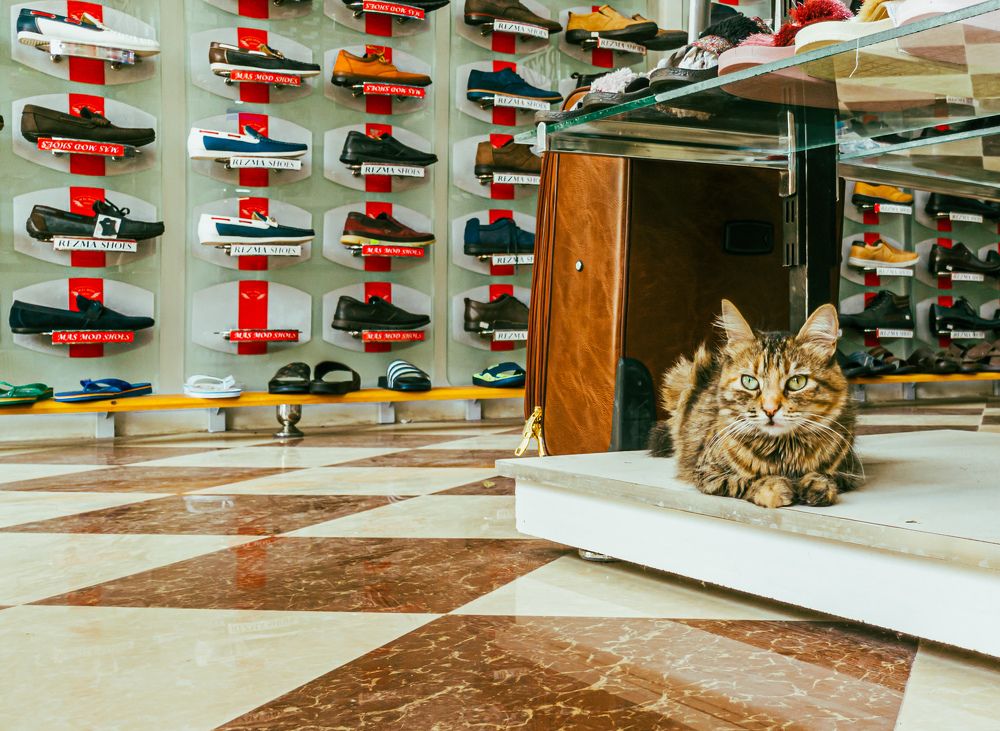 Фотография автора Fethi South Sider