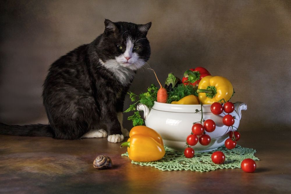 Фотография автора Галина Шепелева