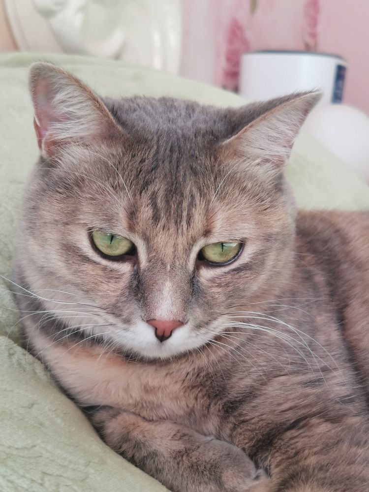 Фотография автора Екатерина