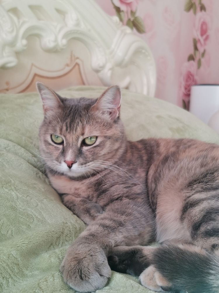 Фотография автора Екатерина