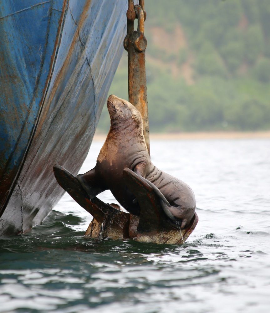 Photograph by Лариса Ким