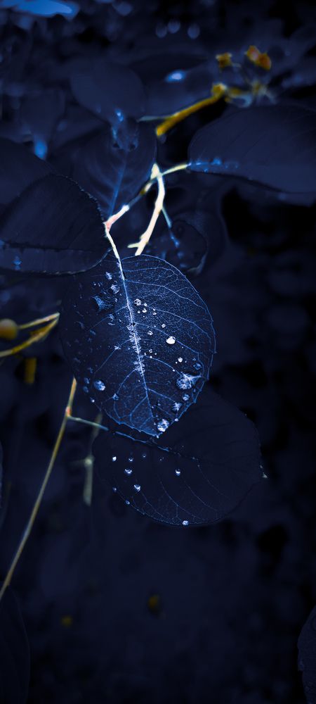 Photograph by Марина Романовская