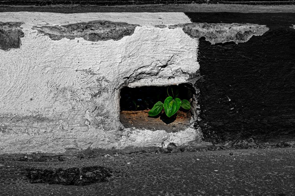 Фотография автора марина леоненко