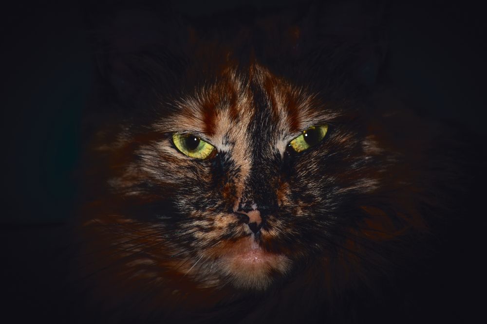 Photograph by Сергей Немчинов