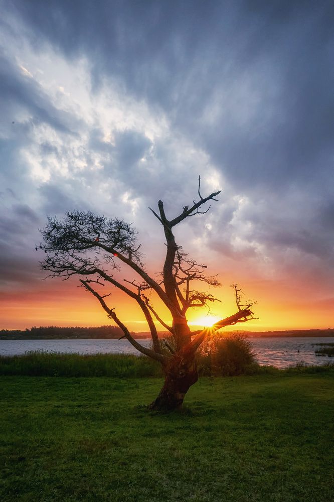 Фотография автора Hugo Marc