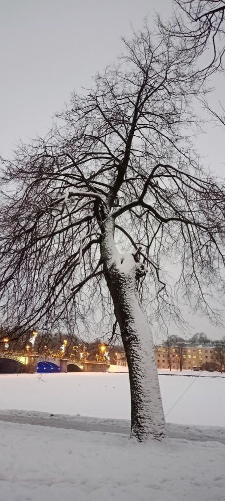 Photograph by Людмила Викулова