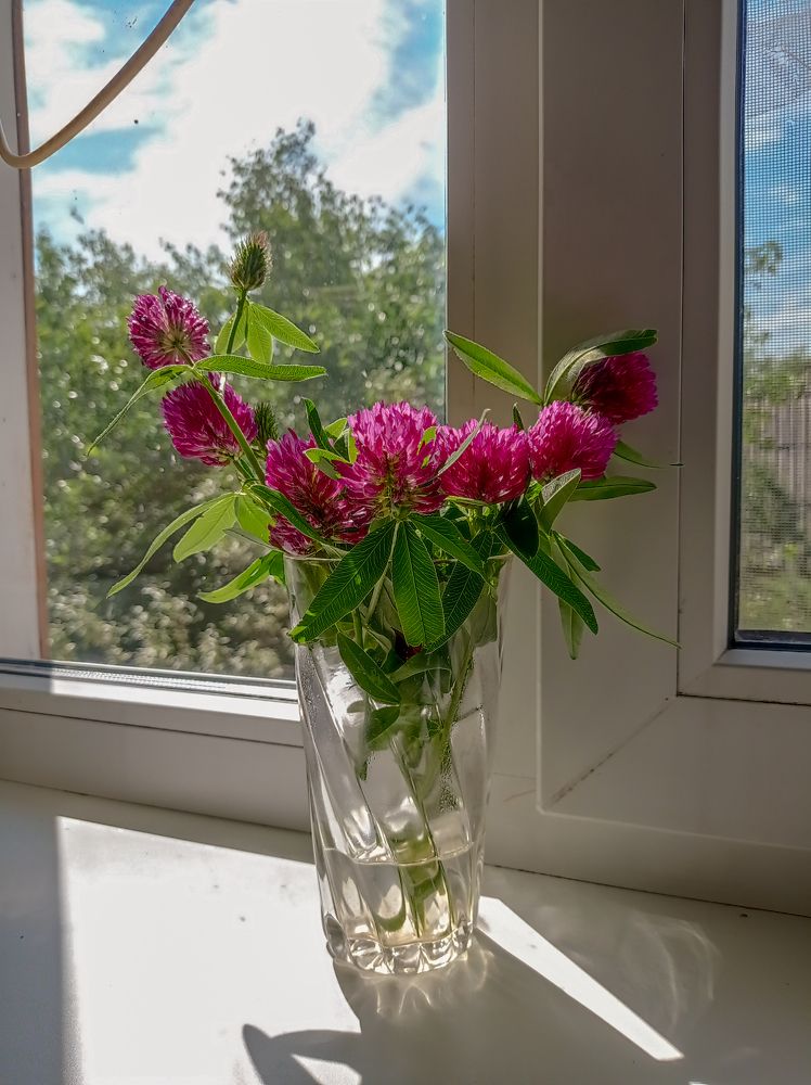 Photograph by Ирина Немкина